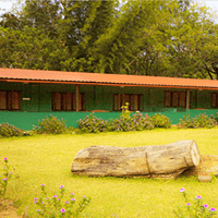 BambooBanksFarm